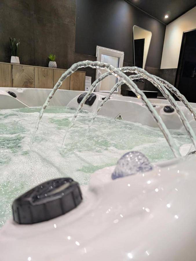 Location de vacances pour 8 personnes, avec jardin et jacuzzi à Saint-Sauvant (Vienne)