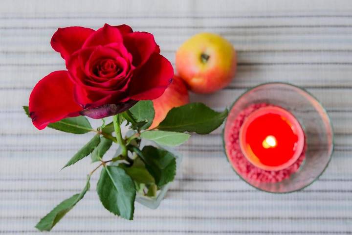 Maison d’hôte pour 2 personnes, animaux acceptés à Leipzig - 2