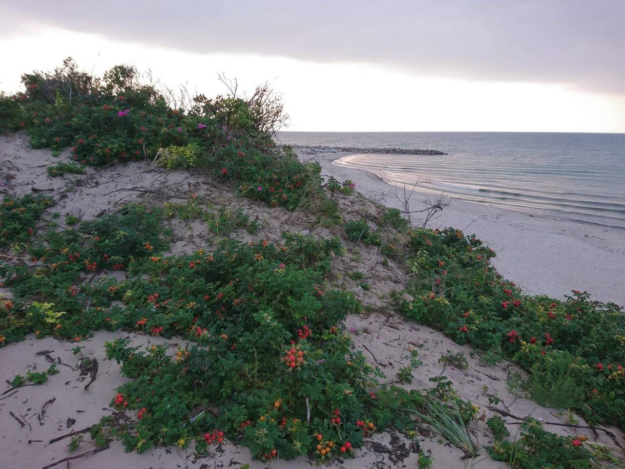 6 Personen Ferienhaus in Melby in Melby, Hovedstaden