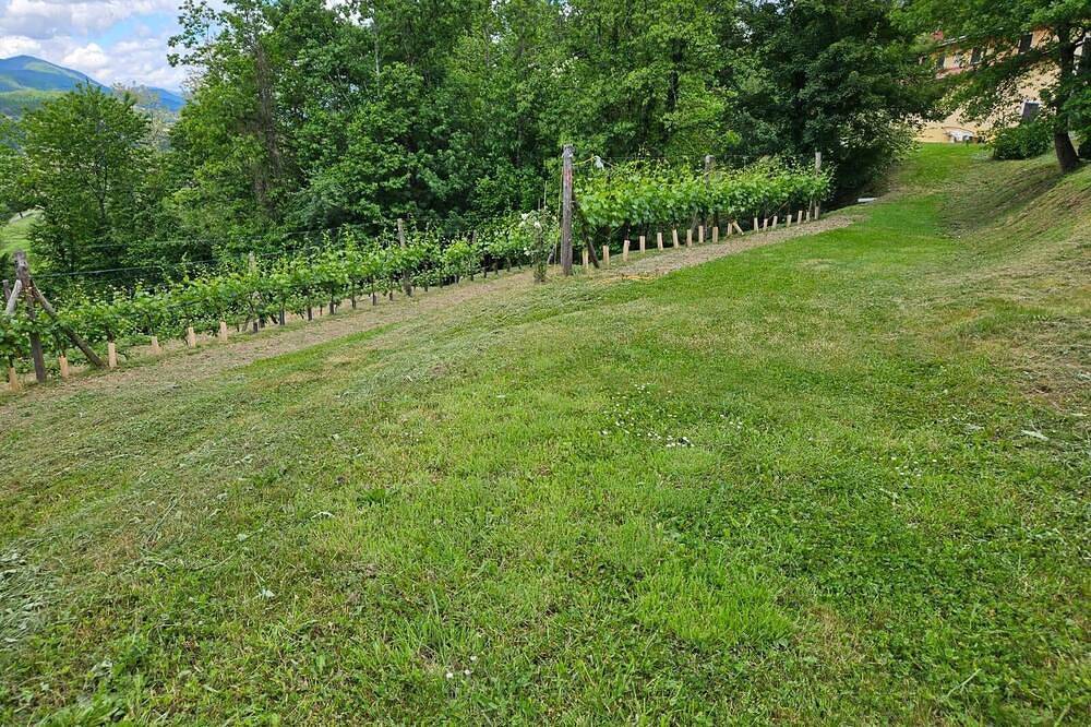 Luxurious  2-bedroom villa with private pool, Ac, Wifi , Vineyard in  Tuscany in Castelnuovo di Garfagnana, Garfagnana