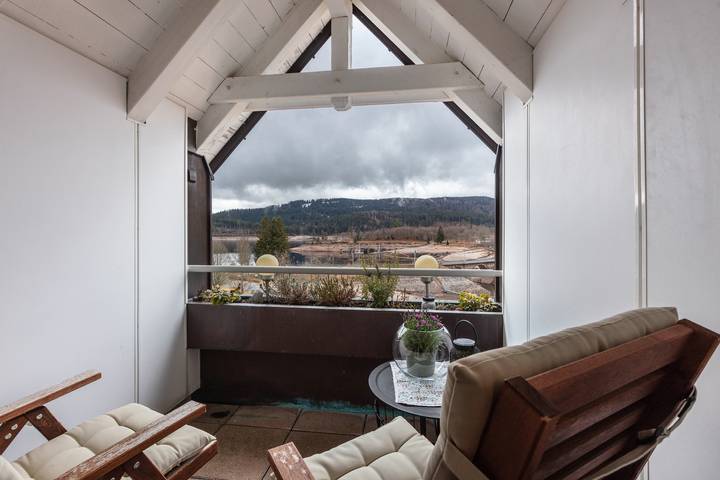 Ferienwohnung für 4 Personen, mit Sauna und Garten sowie Seeblick, mit Haustier in Schluchsee - 3