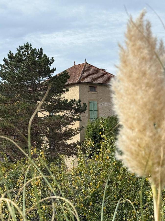 Location de vacances pour 12 personnes, avec piscine ainsi que vue et jardin à Chalabre - 2
