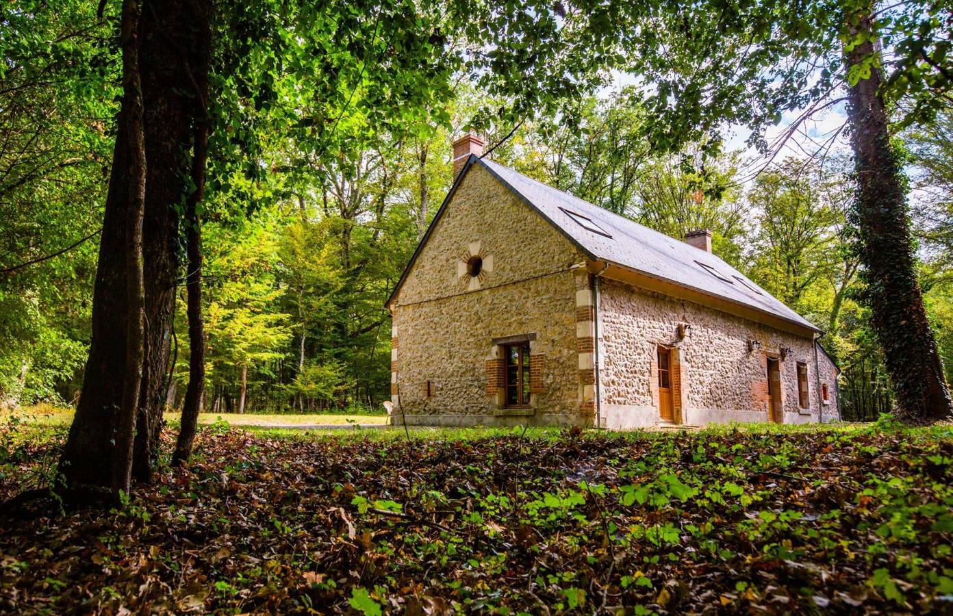 Gite des chateaux de la Loire, proche Beauval. Domaine de Sérigny in Cour-Cheverny, Sologne