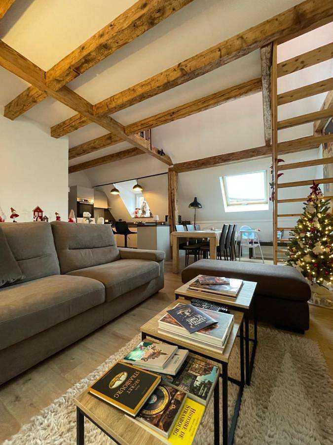 Four-Bedroom House in Hœnheim, Région de Strasbourg