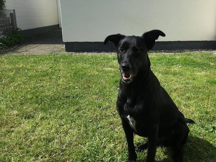 Ferienwohnung für 5 Personen, mit Terrasse und Garten, kinderfreundlich in Stinteck - 4