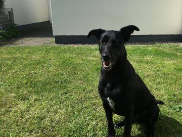 Ferienwohnung für 5 Personen in Stinteck, Westerdeichstrich, Bild 3