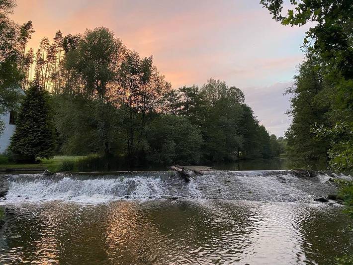 Sonnenhof Wildkatta Frühstückspension - Dietrich - Der Herrscher in Raabs an der Thaya, Waldviertel