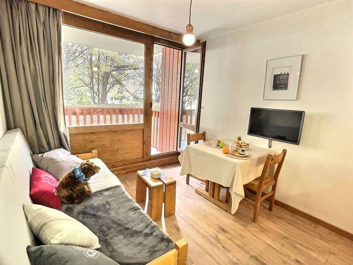 Studio entier, Studio pour 2 à Val d'Isère, proche centre et pistes, animaux admis in Val-d'Isère, Massif de la Vanoise