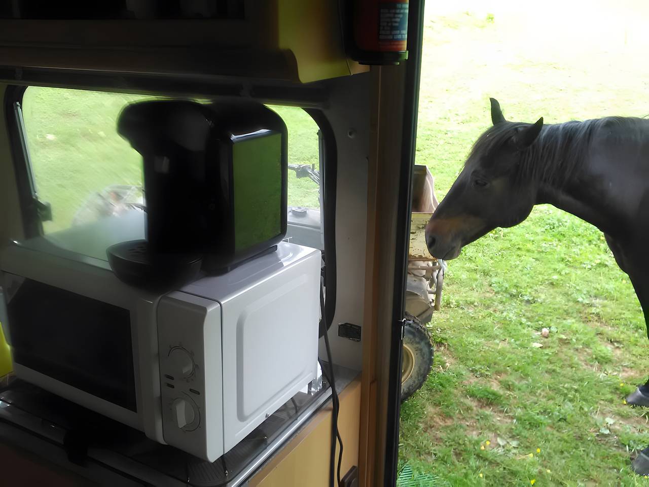 Cabane « Nuit Insolite en Dôme Vitré » : Vue Montagne, Terrasse Privée, Jardin Partagé in Bélesta (Midi-Pyrénées), Ariège