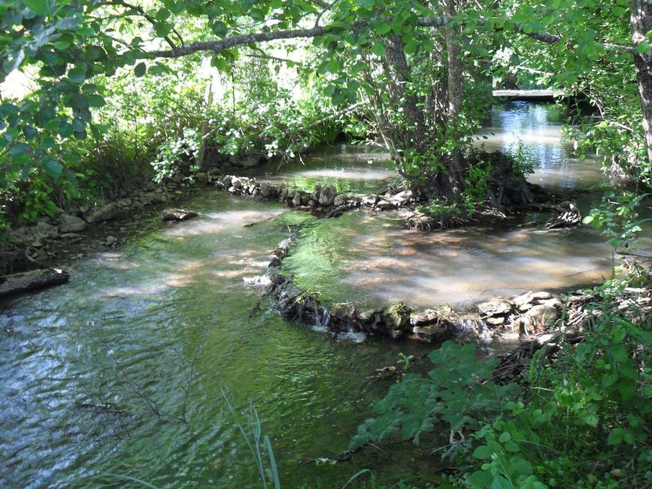 Casa independiente con vista al campo, se aceptan mascotas, ideal para naturaleza y pesca in Cellefrouin, Charente