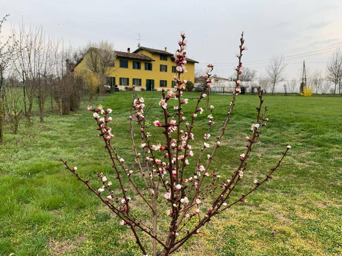 Sangiligio Countryside Villa, Private Rooms w Kitchen, Bath, Private Entrance, Crema in Crema, Provincia di Cremona