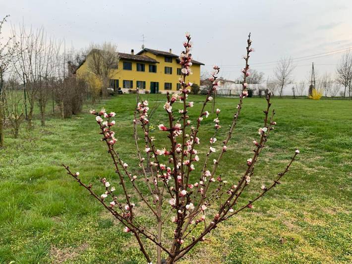 Chambre d’hôte pour 5 personnes, avec piscine ainsi que jardin et vue à Crema