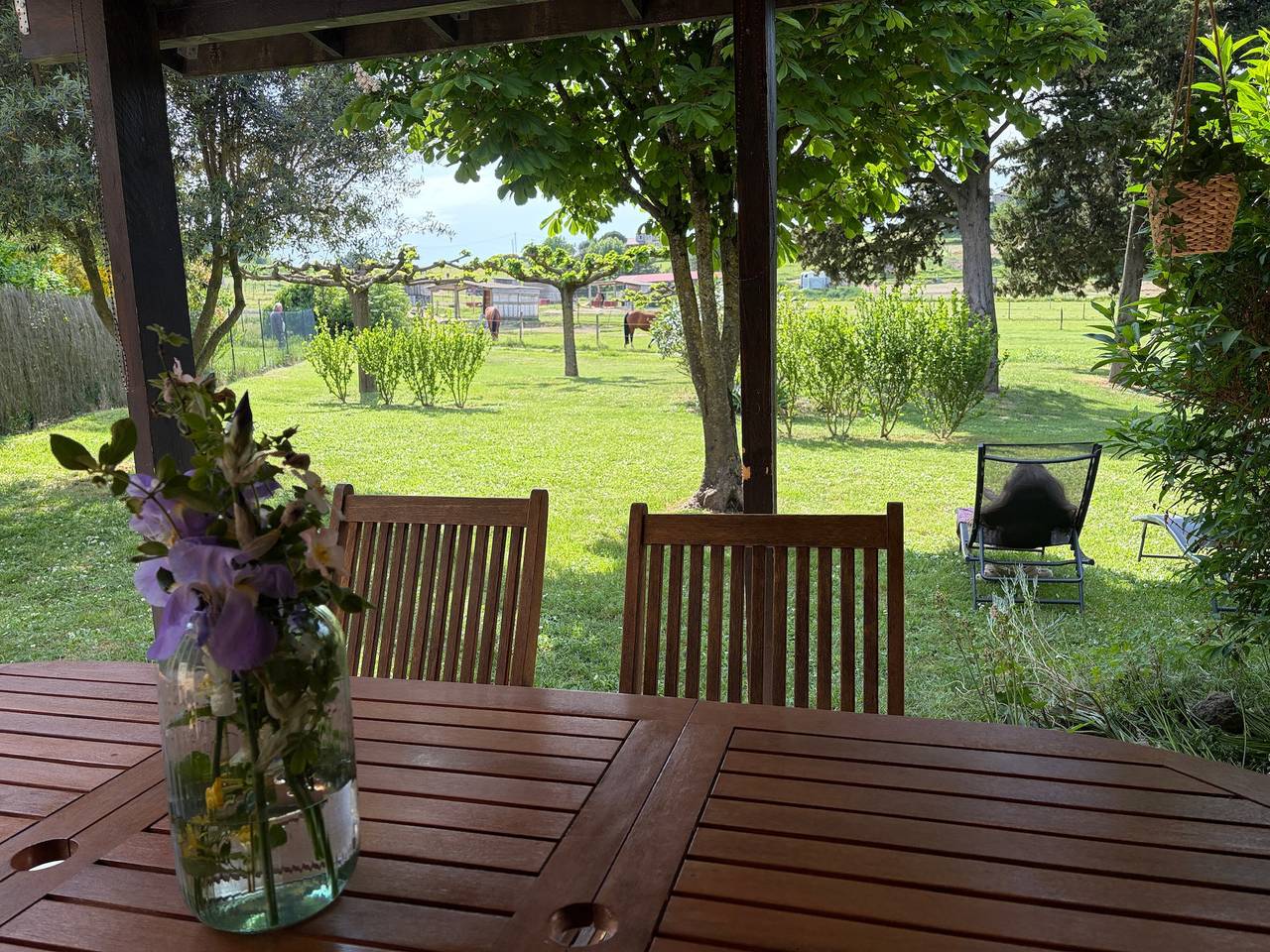 Appartement entier, Appartement « Gîte La Freydière » en pleine nature en Drôme Provençale in La Bégude-de-Mazenc, Région de nyons