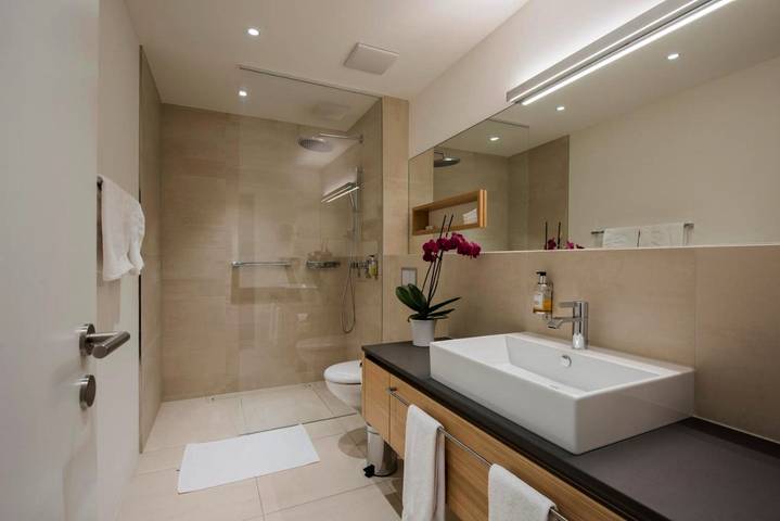 Hôtel pour 3 personnes, avec sauna et vue ainsi que piscine et jardin, animaux acceptés à Andeer - 4