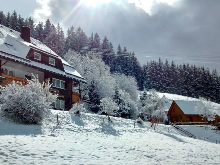 Ferienhaus für 4 Personen, mit Garten und Pool im Schwarzwald