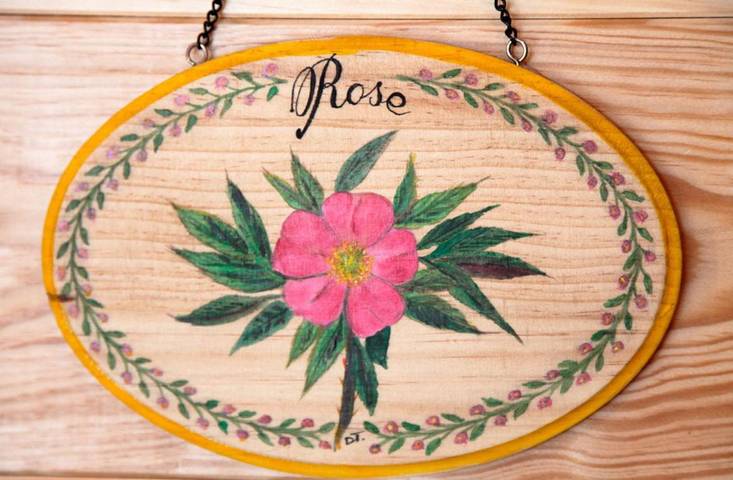 Hôtel pour 4 personnes, avec terrasse dans Saint-Pierre und Miquelon - 3