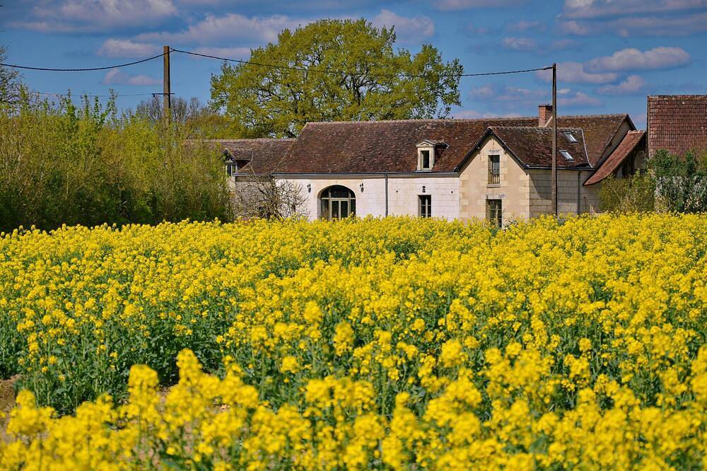 Ferme paisible au milieu des champs et des bois, rénovée tout confort in Villedieu-le-Château, Vallée de la Loire