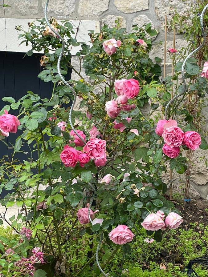 Location de vacances pour 2 personnes, avec vue et jardin à Bourron-Marlotte - 4