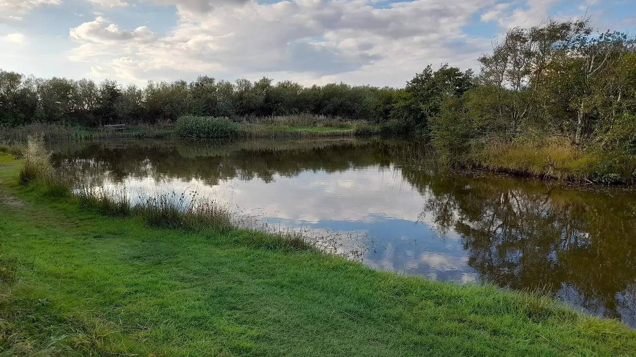 Ferienhaus für 5 Personen (90 m²) in Skjern in Skjern, Ringkøbing Fjord