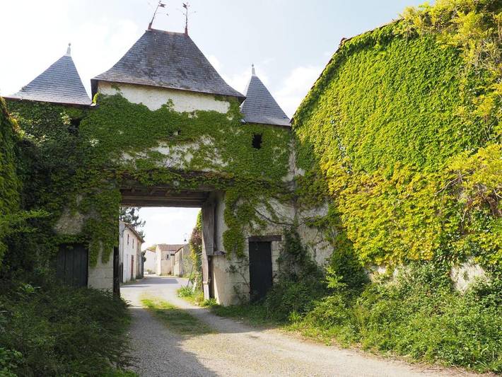 Maison de vacances pour 15 personnes, avec jardin - 1