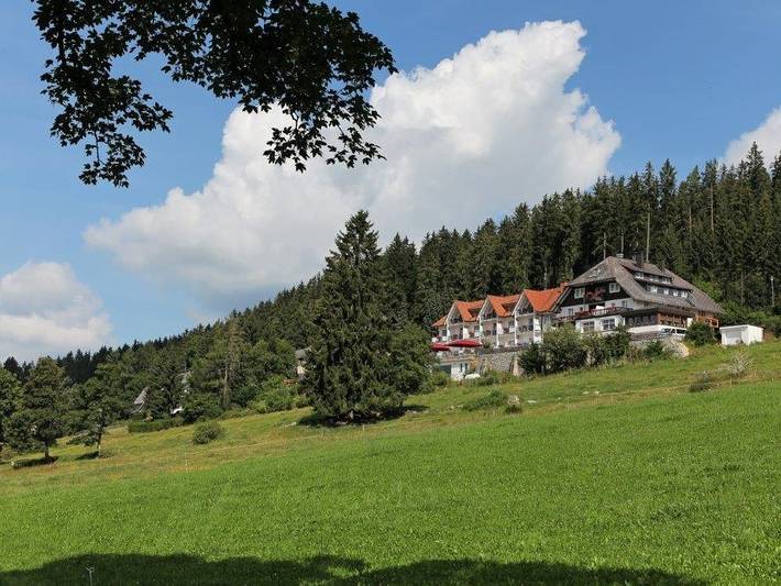 Hôtel, avec Jacuzzi ainsi que Jardin et Sauna