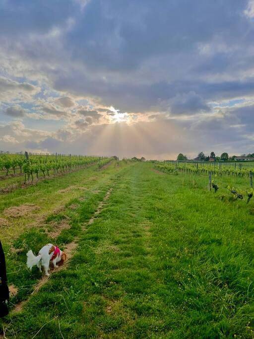 Location de vacances pour 4 personnes, avec vue et jardin à Lignan-de-Bordeaux - 2