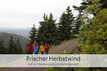 Ferienwohnung für 4 Personen in Oberhof, Rennsteig, Bild 3
