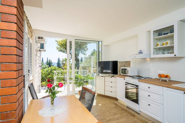 Holiday rental for 4 people, with ocean view, with pets in Srebreno