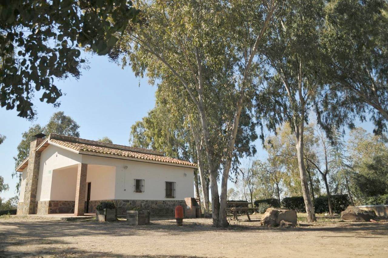 Casa Rural Casa de las Aves in Castuera, Provincia de Badajoz