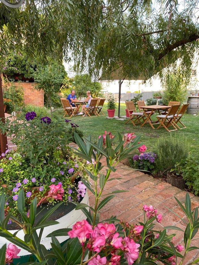 BnB für 3 Personen, mit Garten und Ausblick in Illmitz