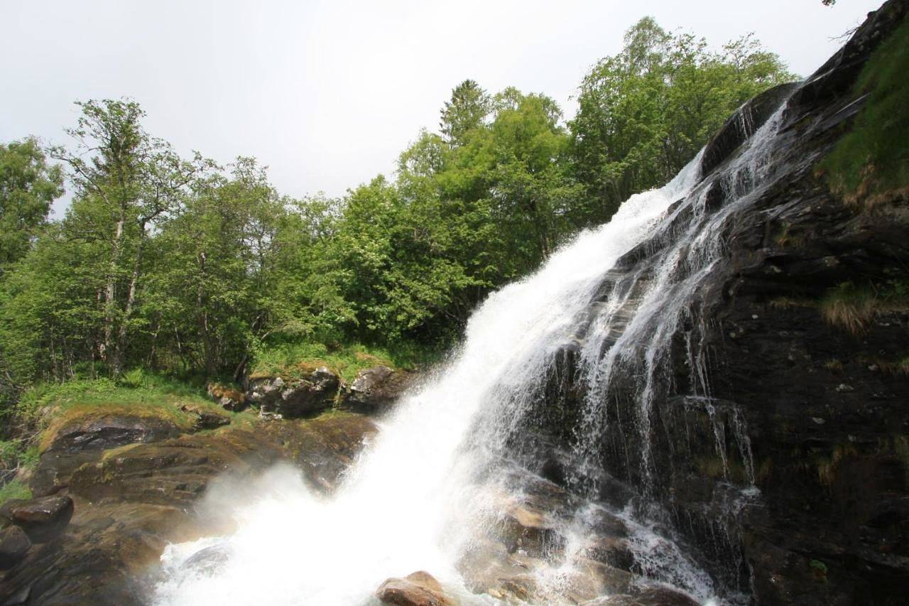 Vinje Camping in Geiranger, Stranda