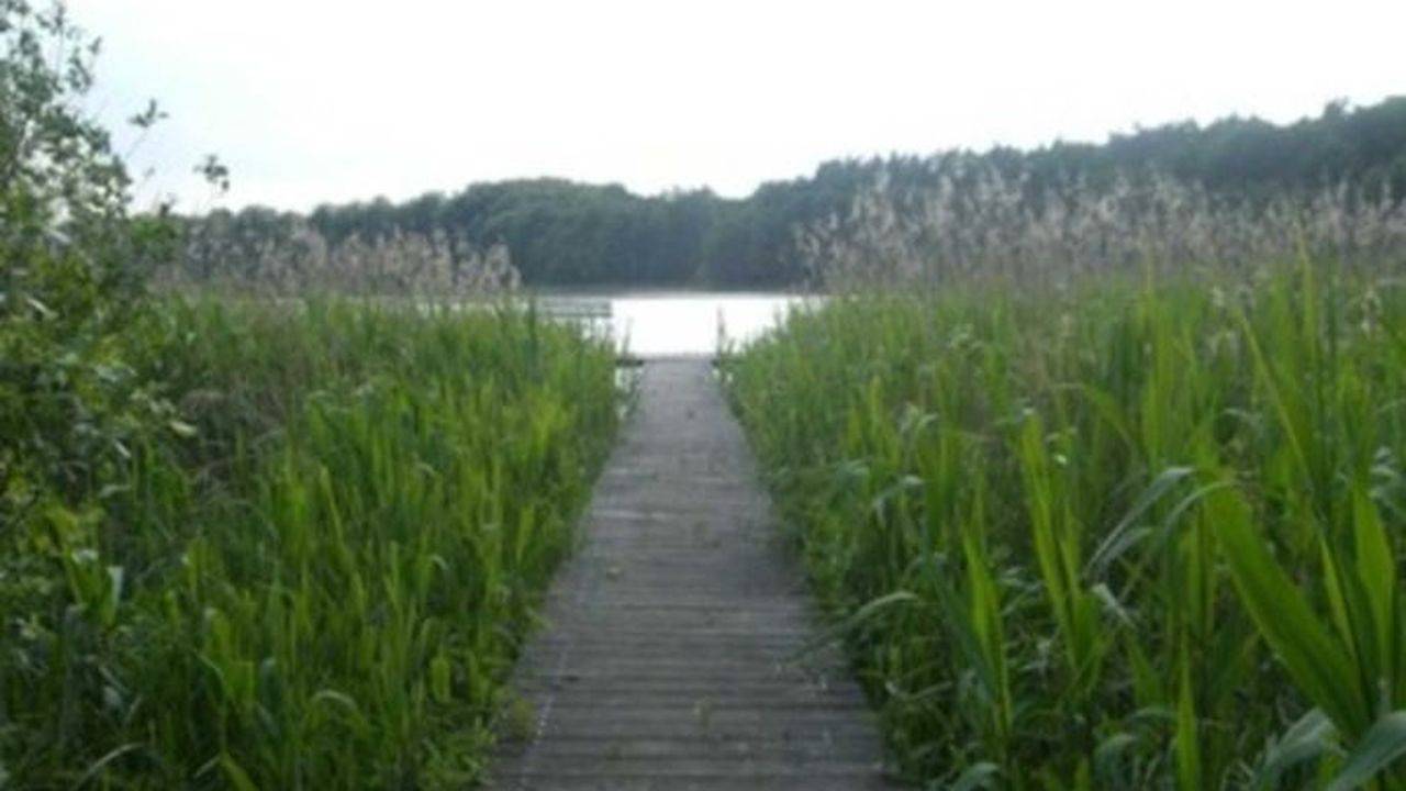 Ferienhaus für 4 Personen (60 m²) in Lalendorf in Krakow am See, Mecklenburgische Seenplatte