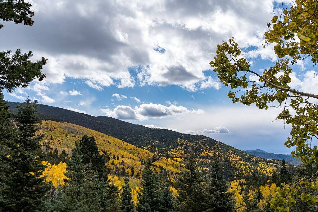 Ganze Wohnung, Cielo Grande 303 | Dog Friendly + Near Trails! in Santa Fe, Santa Fe County