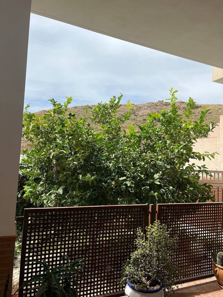 Appartement entier, Appartement Salamandra avec vue sur les montagnes, piscine, jardin et Wi-Fi. in Carboneras, Costa de Almería