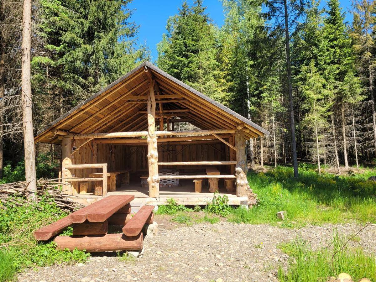 Szałas, miejsce na biesiadę lub wypoczynek w lesie in Istebna, Karpaty (Polska)