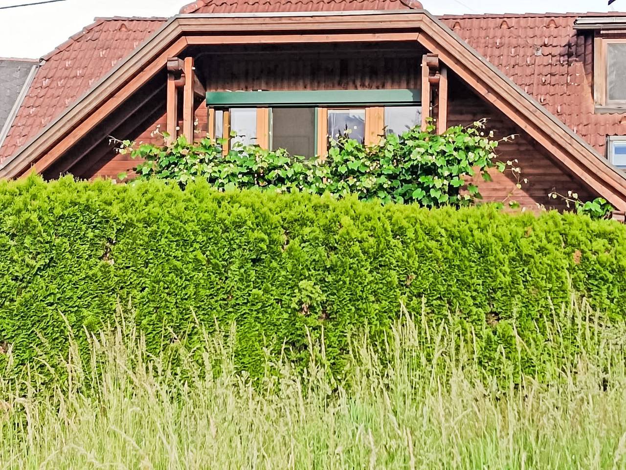 Ganze Wohnung, Wörtherseenahe Ferienwohnung im Grünen in Schiefling am See, Klagenfurt-Land