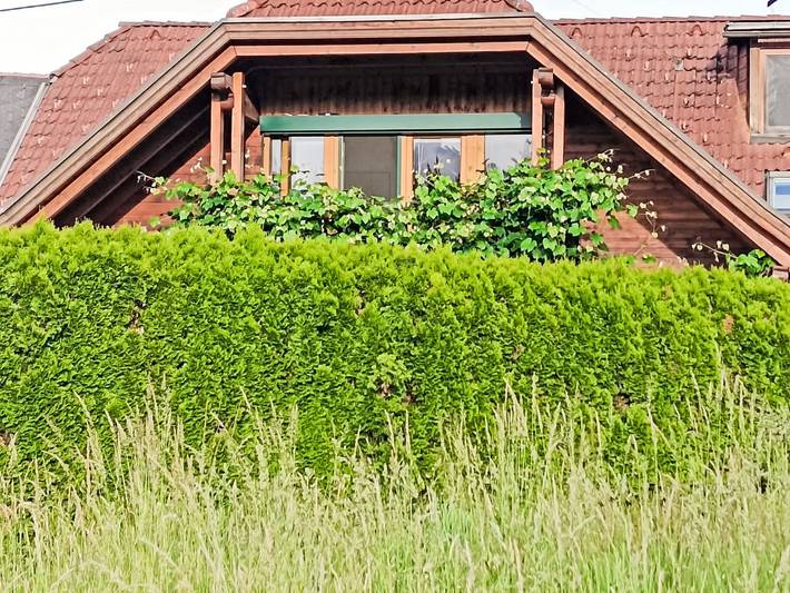 Ferienwohnung für 4 Personen, mit Balkon und Garten in Schiefling am See - 3