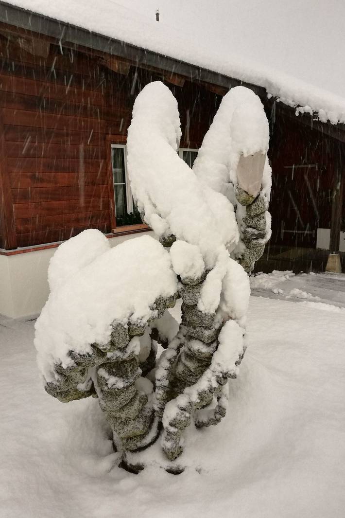 Ferienwohnung für 5 Personen, mit Terrasse und Garten in Meiringen - 2
