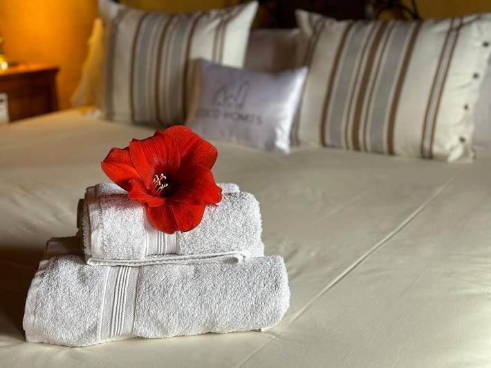 Casa rural para 3 personas, con jacuzzi y jardín en La Orotava - 3