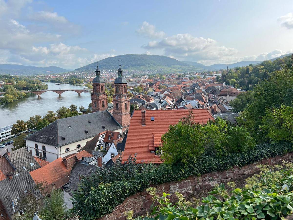 Ganze Wohnung, Schönes Studio für Ihren Kurzurlaub in Miltenberg in Miltenberg, Fränkisches Weinland