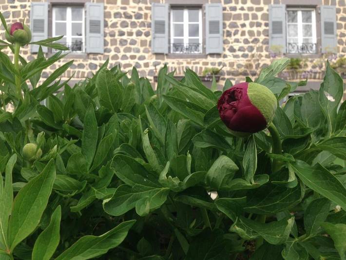 Chambre d’hôte pour 5 personnes, avec vue et jardin, animaux acceptés en Haute-Loire - 2