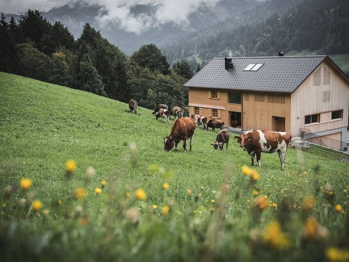 Ferienhaus für 5 Personen, mit Garten in Sibratsgfäll
