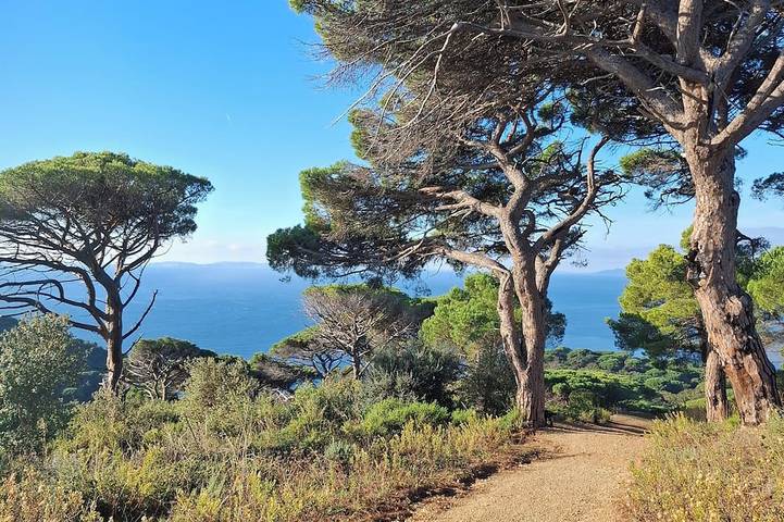 Appartement de vacances pour 4 personnes, animaux acceptés - 1