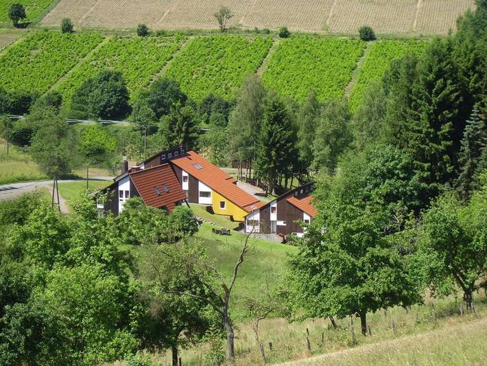 Ferienwohnung für 6 Personen, mit Terrasse und Garten in Bestwig - 3
