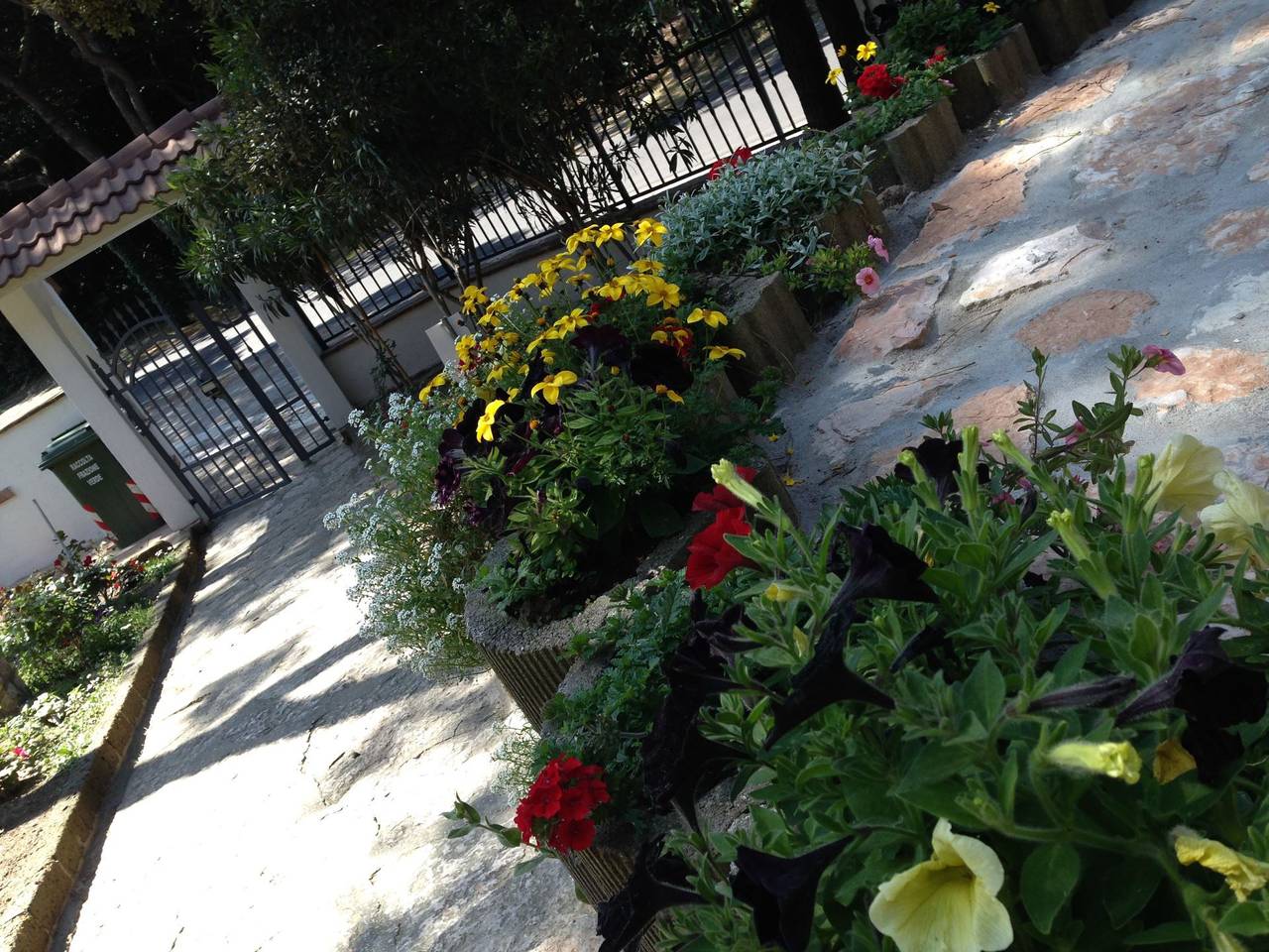 Villa Orchidea in Rosolina Mare, Polesine