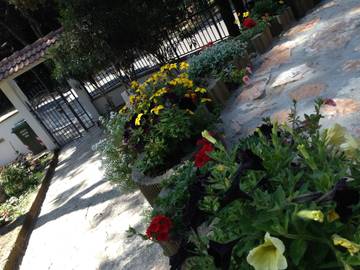 Villa voor 6 Personen in Rosolina Mare, Provincie Rovigo, Afbeelding 4