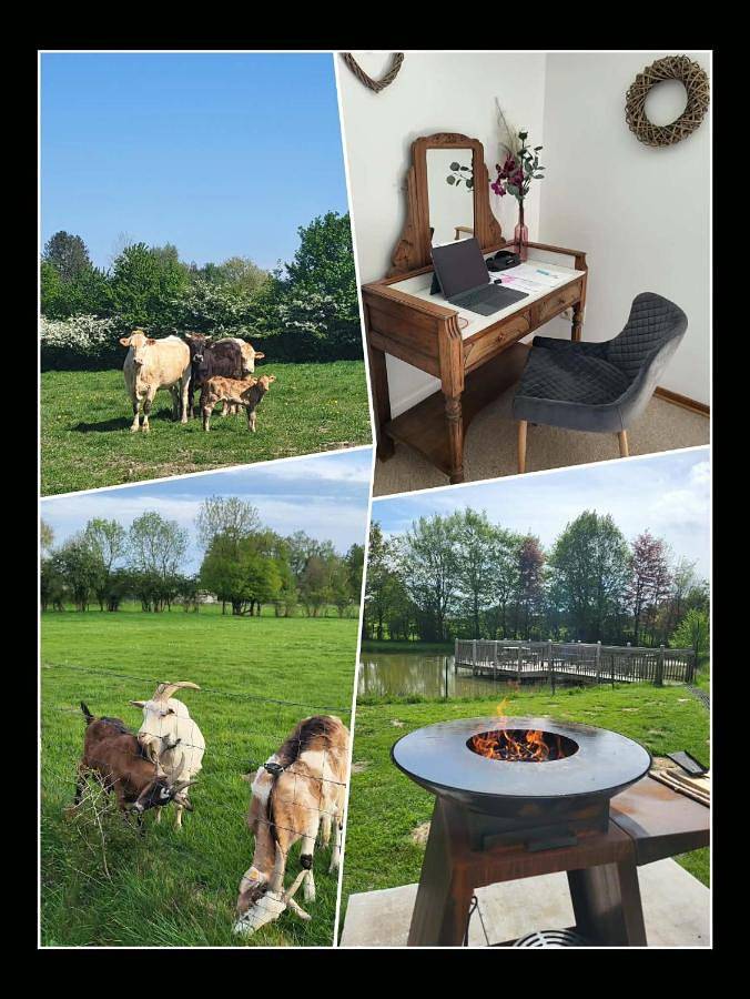 Location de vacances pour 10 personnes, avec jardin ainsi que vue et vue sur le lac, animaux acceptés à Momignies - 2