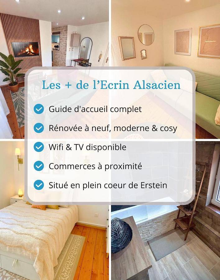 Gîte pour 4 personnes, avec vue, animaux acceptés à Erstein - 3