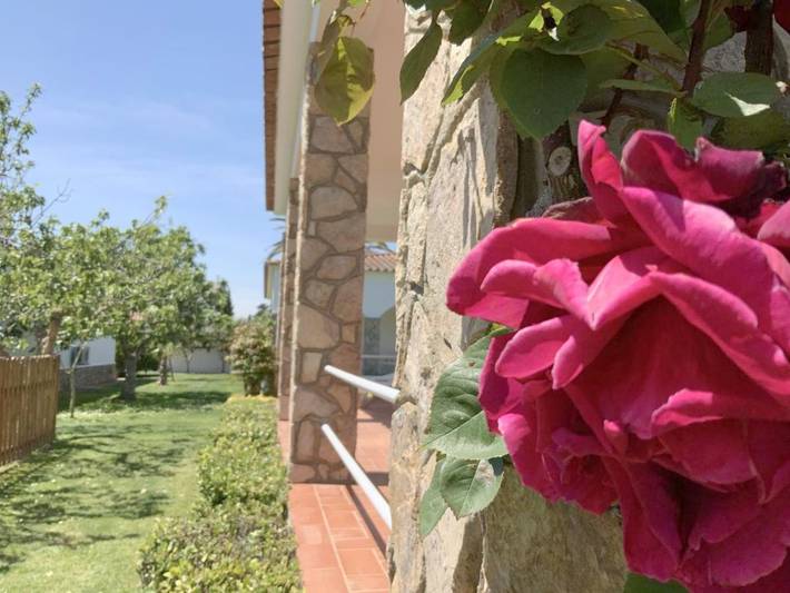 Location de vacances pour 6 personnes, avec piscine ainsi que vue et jardin dans Sant Martí d'Empúries - 3