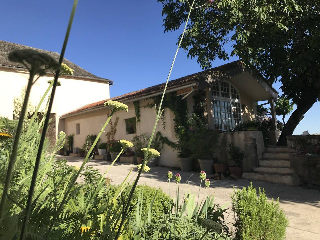 Chez Alice in Mirandol-Bourgnounac, Région d'Albi